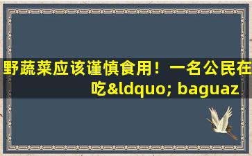 野蔬菜应该谨慎食用！一名公民在吃“ baguazu”后被送往医院